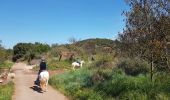 Randonnée Marche Le Bosc - Salelles Mougères Les Combes - Photo 1