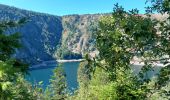 Trail Walking Orbey - Lac noir lac blanc  - Photo 5
