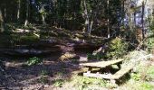 Trail Walking Ottersthal - Dans les pas des Celtes et des Romains - Photo 9