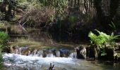 Tocht Te voet Ribeira de Fráguas - Trilho dos Três Rios - Photo 5