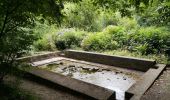 Tocht Stappen Combrit - Bois de Rescoure. Pont l'abbé. 15/07/20. - Photo 10