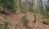 Trail Walking Ventron - Rando les Marcheurs..Col d'Oderen.18 km..715m D+/- - Photo 4