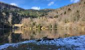 Randonnée Marche Rimbach-près-Masevaux - Rimbach - lacs du Neuweiher et des Perches par Rouge Gazon - Photo 3