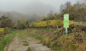 Tour Zu Fuß Grevenmacher - FB Grevenmacher I - Photo 8