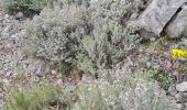 Trail Walking Buis-les-Baronnies - Escapade 15/05/3025 - Photo 2