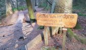 Trail Walking Waimes - UTDS - Fagne de Polleur/Sart - Photo 6