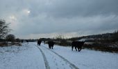 Randonnée Marche Eijsden-Margraten - Eijsden - Oost-Maarland - Eijsder Beemden  - Photo 7