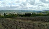 Tour Wandern Château-Thierry - Les Vignes Castelles trace du 28-04-2024 - Photo 7