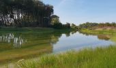 Tour Wandern Koksijde - Coxyde Randonnée schipgat plus variante perso - Photo 15