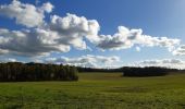 Tour Wandern Anthisnes - hody . hestreux . targnon . hody - Photo 8