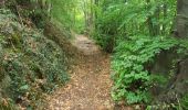 Trail Walking Trooz - Nessonvaux - Fraipont - Banneux - Trasenster - Photo 11