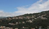 Tocht Te voet Genua - Nervi - Monte Fasce - Premanico - Borgoratti - Photo 7