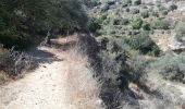 Tocht Trail ביתר עילית - Husan WHP - Photo 6