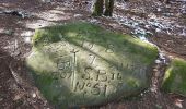 Tour Wandern Rappoltsweiler - Ribeauvillé et ses 3 châteaux - Monastère ND de Dusenbach - Photo 18