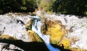 Excursión A pie Tanneron - La chapelle de St Cassien des bois, le pont détruit et au fil de l'eau - Photo 4