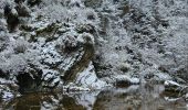 Excursión Senderismo Waimes - Sur les traces de l'ultratrail 🥾 - Photo 2