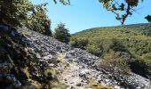 Trail Walking Céret - pic des salines depuis fontfrede via coll del pou de la neu . pic des salines .coll des cirerers  . fontfrede - Photo 14