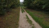 Randonnée Marche Court-Saint-Étienne - Promenade à La Roche et petit aller-retour vers le ruisseau - Photo 1