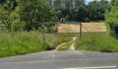 Tocht Stappen Fontaine-les-Coteaux - Fontaine-les-coteaux - Bois de Beauvoir - Photo 20