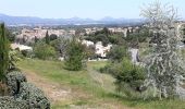 Trail Walking Roquebrune-sur-Argens - les hauts de Roquebrune sur Argens - Photo 7