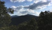 Tour Wandern Pierrefeu-du-Var - La portanière   Le Fedon      - Photo 3