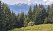 Excursión Senderismo Theys - BALADE DIGESTIVE APRES UNE FONDUE - Photo 8