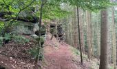 Trail Walking Ernzen - Balade Ernzen Allemagne  - Photo 17