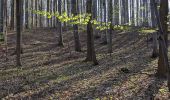 Tocht Te voet Liberec - [Z] Machnín - Výpřež - Photo 1