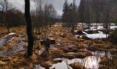 Randonnée Marche Waimes - La fagne de Sourbrodt   - Photo 3