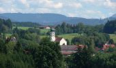 Tocht Te voet Wangen im Allgäu - Wanderweg 7 Wangen im Allgäu - Photo 4