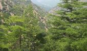 Tour Wandern Sahorre - Col de Jou Mariailles Py - Photo 7