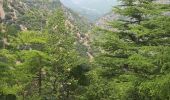 Trail Walking Sahorre - Col de Jou Mariailles Py - Photo 7