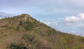 Tour Wandern L'Albère - autour de St Martin l'albere et puig forcadell  - Photo 17