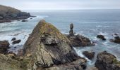 Randonnée Marche Bangor - 3-Port Coton - Locmaria à Belle Île en mer  - Photo 8