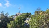 Trail Walking Roquebrun - Roquebrun - Laurenque - Ermitage St Etienne - Photo 4