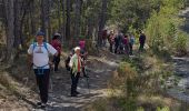 Tour Wandern Aubignosc - Boucle des Canayons depart Aubignosc  390 + - Photo 1