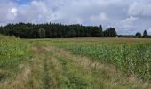 Tour Zu Fuß Moldautein - NS Semenec - Photo 3