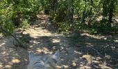 Trail Horseback riding Simiane-la-Rotonde - Provence 2025 J4 - Photo 8