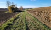 Randonnée Marche Monferran-Savès - Sur les terres de Monferran Saves  - Photo 6