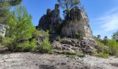 Excursión Senderismo Méounes-lès-Montrieux - reco Jas du Murier - Photo 2