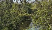 Randonnée Marche Rosnay - Parc naturel régional de la Brenne à ROSNAY - Photo 1