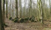 Tocht Te voet Gudensberg - Metze, Rundweg 1 - Photo 8