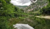 Trail Walking Gorges du Tarn Causses - st enimie - Photo 2