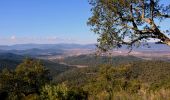 Randonnée Marche Pierrefeu-du-Var - les Baisses - Photo 8