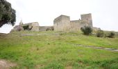 Tocht Te voet Fos-sur-Mer - Fos - tour etang de l'Estomac - Photo 5