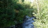 Trail On foot Malmedy - WandHogVen 20: Bevercé: canyon van de Trôs Marets - Photo 2