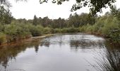 Tocht Stappen Spa - grand tour de la fagne de Malchamps - Photo 7