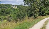 Trail Hybrid bike Castelnaud-la-Chapelle - Castelnaud à l'abbaye Nouvelle et retour (Dordogne) - Photo 13