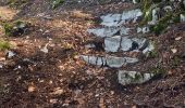 Trail Walking Oyonnax - oyonnax apremont et lac genin - Photo 8