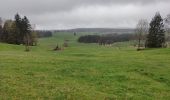 Trail Walking Chapelle-des-Bois - Chapelle-des-Bois en passant par la roche Bernard  - Photo 1